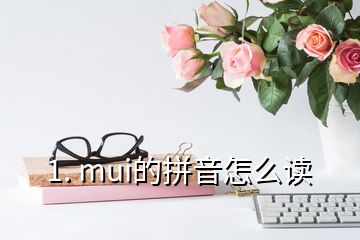 1. mui的拼音怎么讀