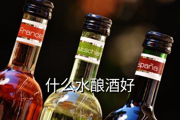 什么水釀酒好