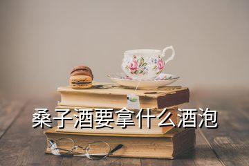 桑子酒要拿什么酒泡