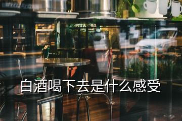 白酒喝下去是什么感受