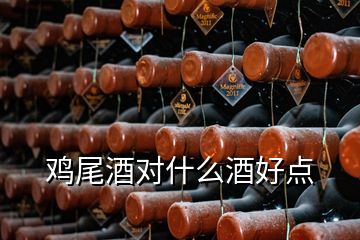 雞尾酒對(duì)什么酒好點(diǎn)