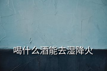 喝什么酒能去濕降火