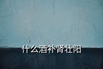 什么酒補(bǔ)腎壯陽