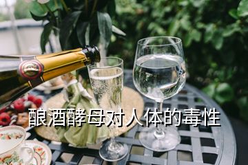 釀酒酵母對人體的毒性