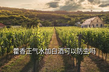 藿香正氣水加白酒可以防蟲(chóng)嗎