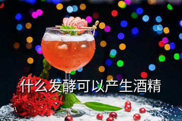 什么發(fā)酵可以產(chǎn)生酒精