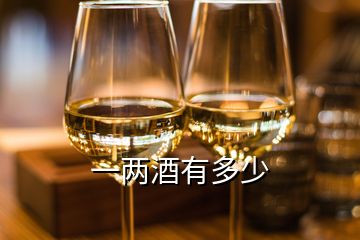 一兩酒有多少