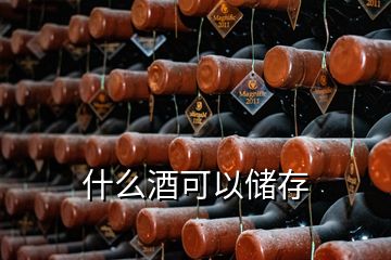 什么酒可以儲存