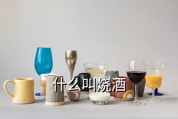 什么叫燒酒