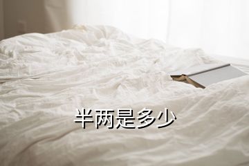 半兩是多少