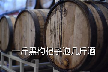 一斤黑枸杞子泡幾斤酒