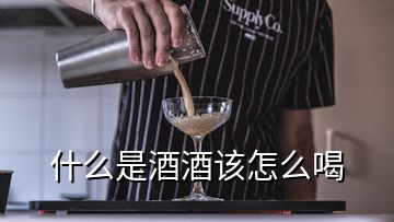 什么是酒酒該怎么喝