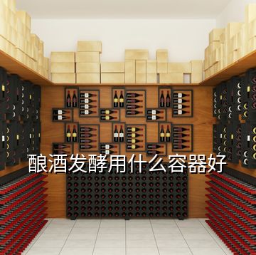 釀酒發(fā)酵用什么容器好