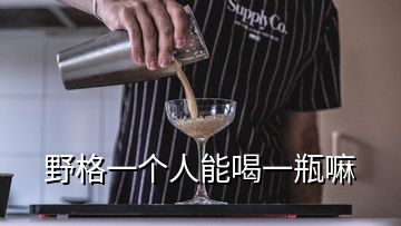 野格一個(gè)人能喝一瓶嘛