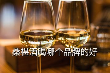 桑椹酒喝哪個(gè)品牌的好