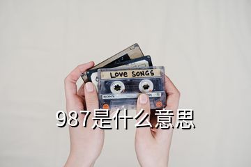 987是什么意思