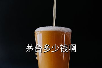 茅臺(tái)多少錢啊