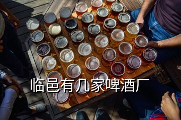 臨邑有幾家啤酒廠