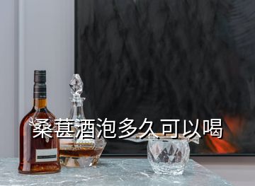 桑葚酒泡多久可以喝