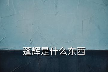 蓬輝是什么東西