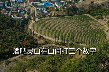 酒吧靈山在山間打三個數字