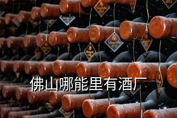 佛山哪能里有酒廠