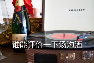 誰能評價(jià)一下湯溝酒