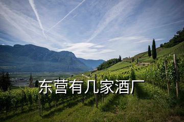 東營(yíng)有幾家酒廠