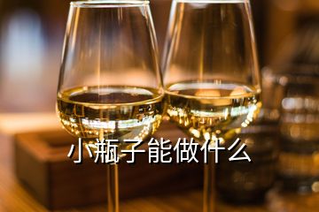 小瓶子能做什么