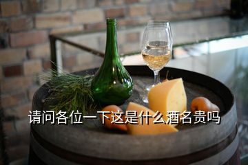 請(qǐng)問(wèn)各位一下這是什么酒名貴嗎