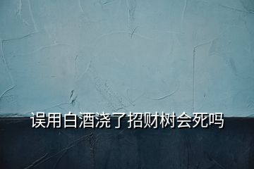 誤用白酒澆了招財(cái)樹會(huì)死嗎