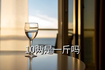 10兩是一斤嗎