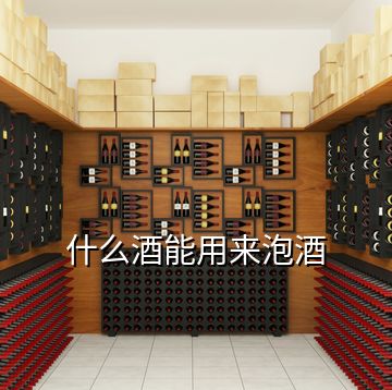 什么酒能用來泡酒