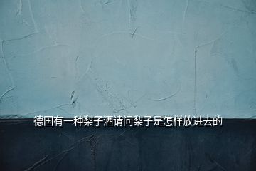 德國(guó)有一種梨子酒請(qǐng)問(wèn)梨子是怎樣放進(jìn)去的