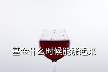 基金什么時候能漲起來