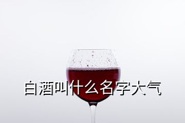 白酒叫什么名字大氣