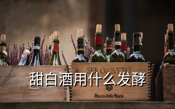 甜白酒用什么發(fā)酵