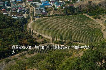 我要做荔枝酒不加白酒的15斤荔枝要放多少酒曲40克多不多