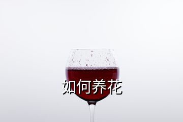 如何養(yǎng)花