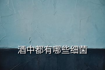 酒中都有哪些細(xì)菌