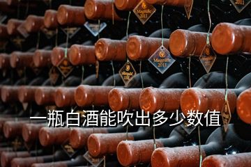 一瓶白酒能吹出多少數(shù)值