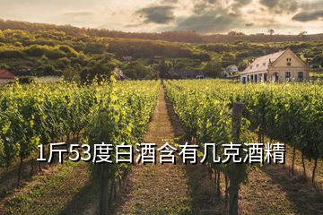 1斤53度白酒含有幾克酒精