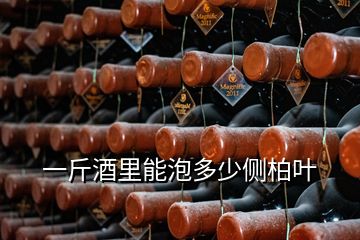 一斤酒里能泡多少側(cè)柏葉