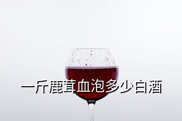 一斤鹿茸血泡多少白酒