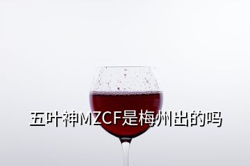 五葉神MZCF是梅州出的嗎