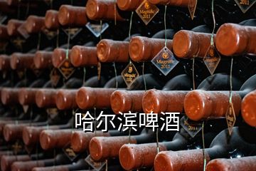 哈爾濱啤酒