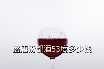 盛唐汾都酒53度多少錢(qián)