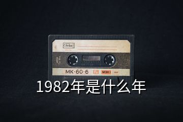 1982年是什么年