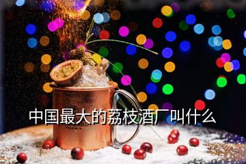 中國(guó)最大的荔枝酒廠叫什么