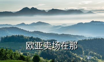 歐亞賣場(chǎng)在那